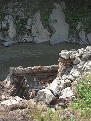 IMG 0343