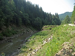 IMG 0347