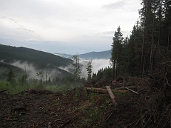 Watonarka