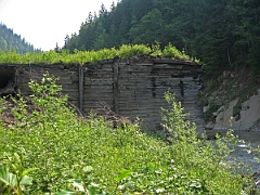 IMG 0542