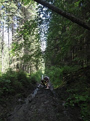 IMG 0419