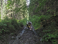 IMG 0419h