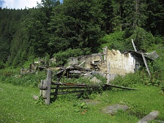 Burkut