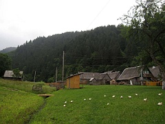 Kowaliw