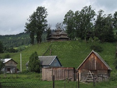 Jasinia
