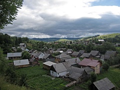 Jasinia
