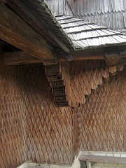 Jasinia