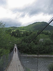 Jasinia