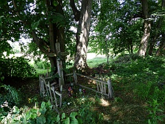 Żmijowiska