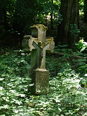 Sieniawka