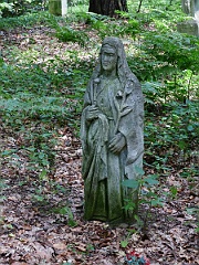 Sieniawka