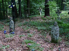 Sieniawka