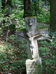 Sieniawka