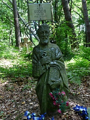 Sieniawka