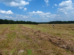 Huta Kryształowa