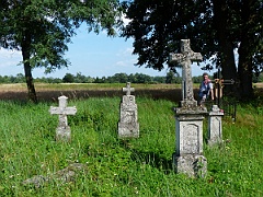 Podlesie