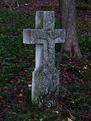Krzywe