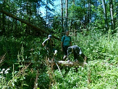 Gruszka