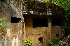bunk