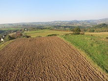 Bruśnik