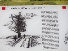 Bruśnik