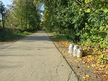 Bruśnik