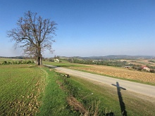 Falkowa