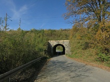 Ptaszkowa