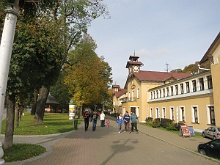 Krynica