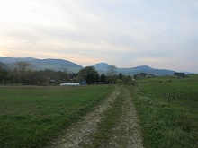 Medweże