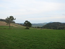 Medweże