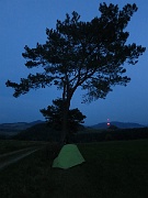 Medweże