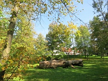 Gromnik